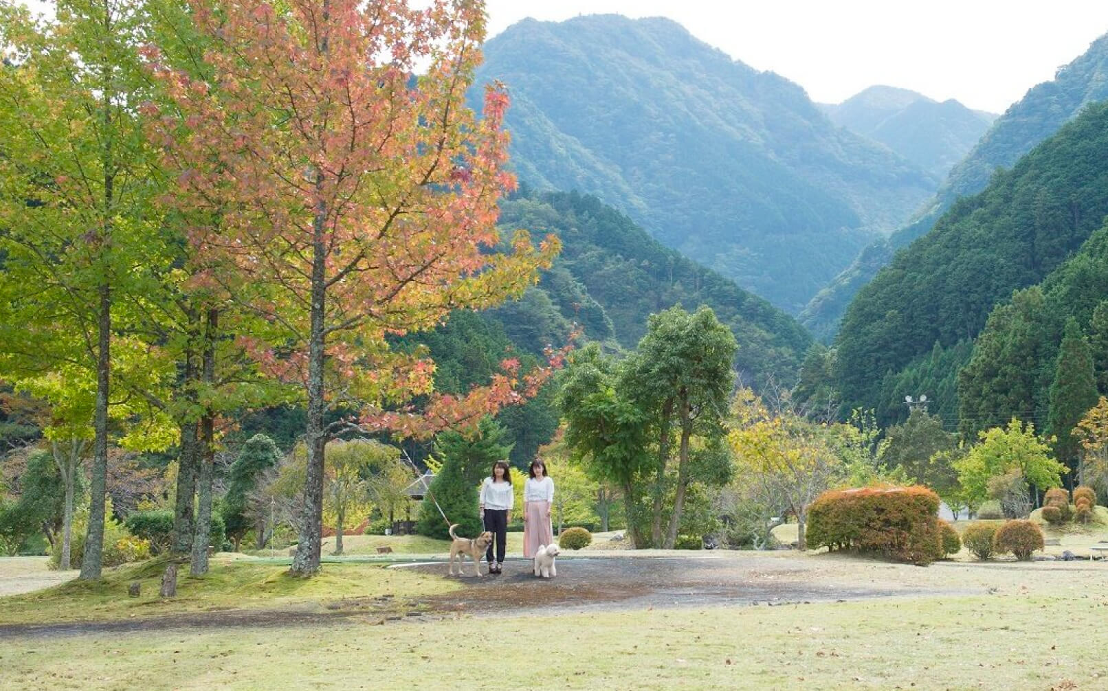 松阪わんわんパラダイス 森のホテルスメール