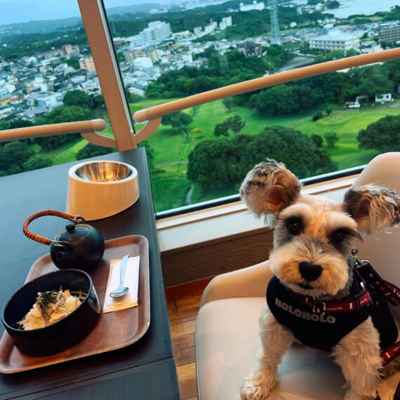 ナナちゃん＆クロくんの画像