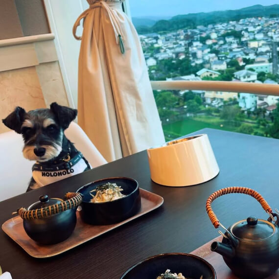 ナナちゃん＆クロくんの画像