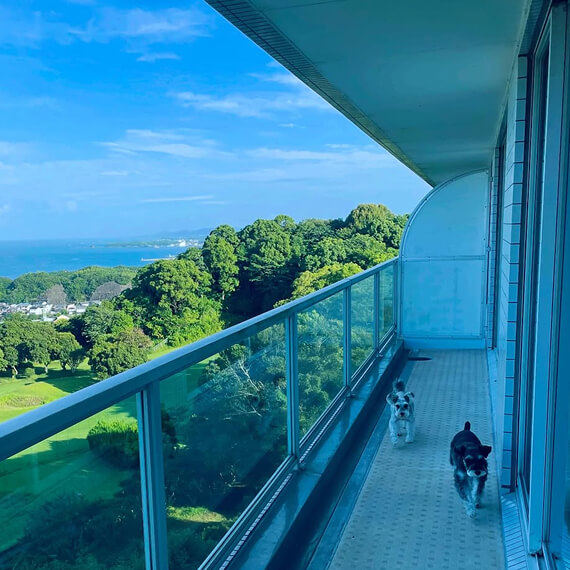 ナナちゃん＆クロくんの画像