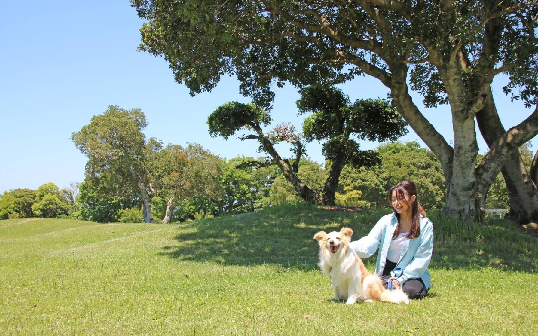 南紀白浜わんわんパラダイス