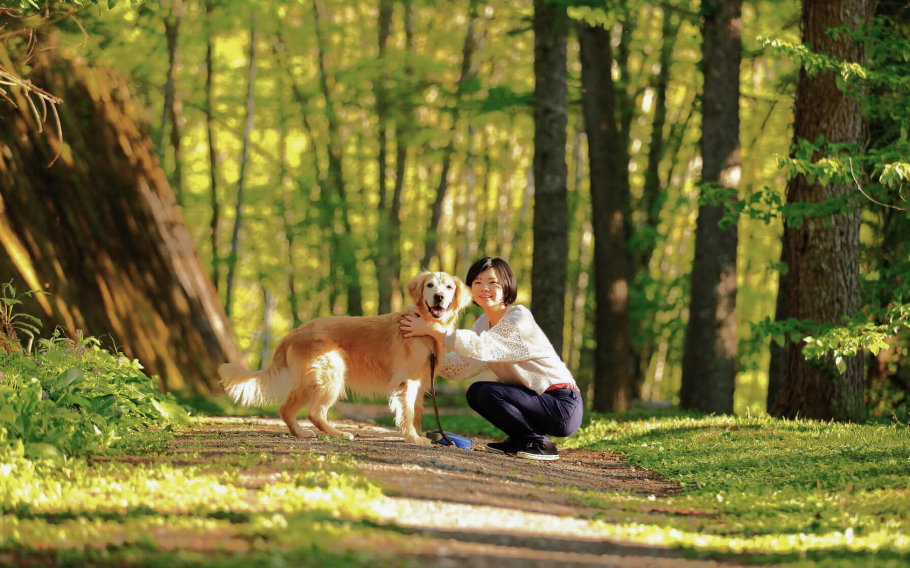 高山わんわんパラダイス ホテル＆コテージ