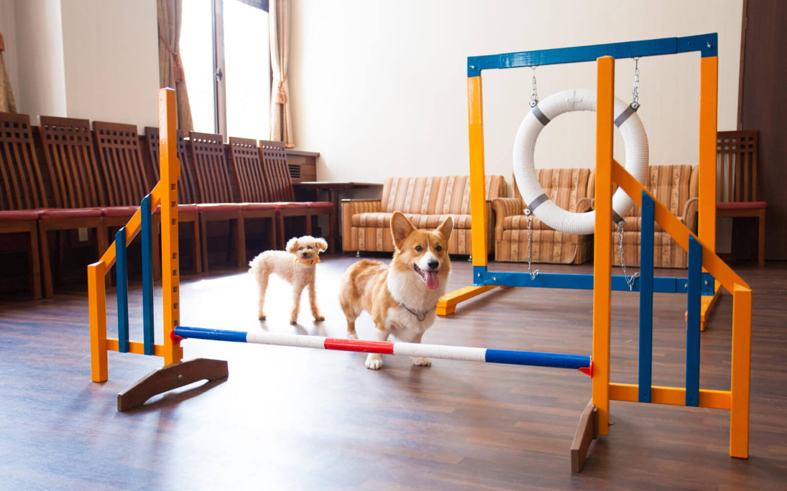 高山わんわんパラダイス ホテル＆コテージ