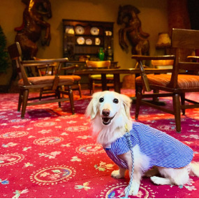 milkちゃんの画像