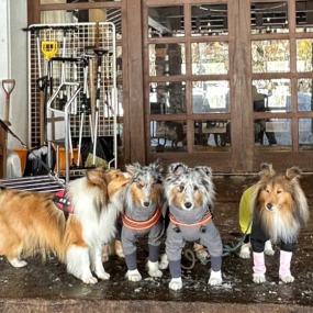 日南ちゃんの画像