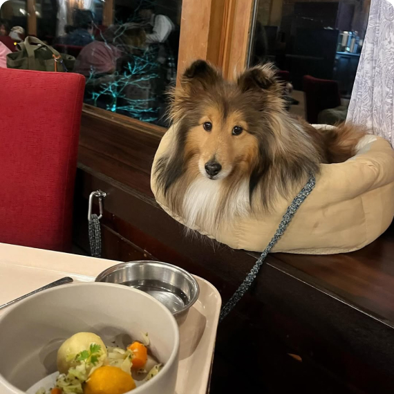 日南ちゃんの画像