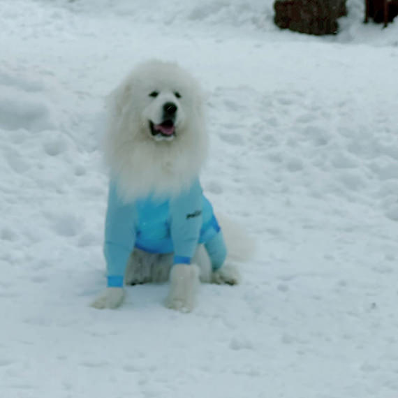 パリンちゃん&リボンちゃんの画像