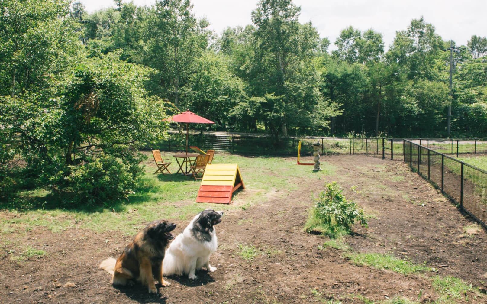 蓼科わんわんパラダイスコテージ