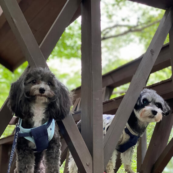 そうたくん&セナちゃんの画像