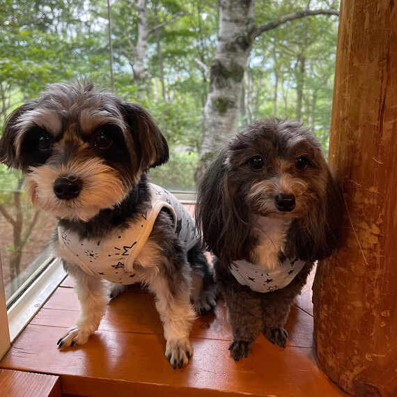 そうたくん&セナちゃんの画像