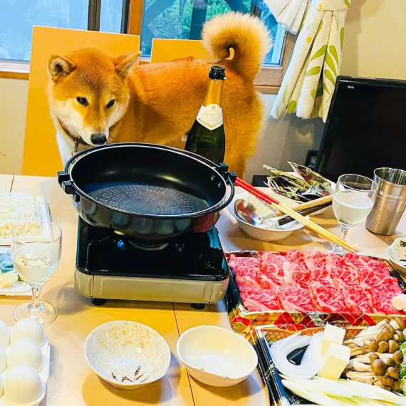 ししまるくんの画像