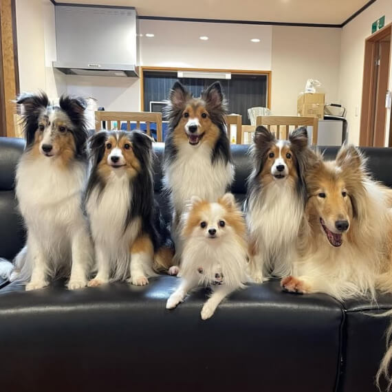 王＆姫たちの大ファミリーの画像