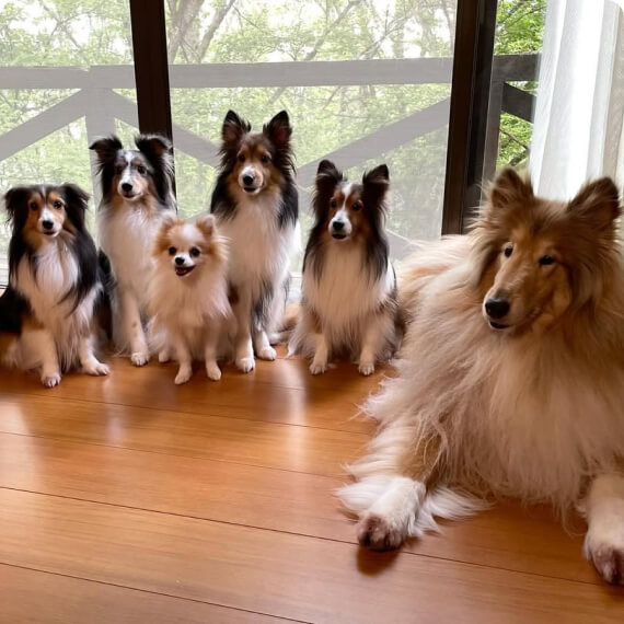 王＆姫たちの大ファミリーの画像