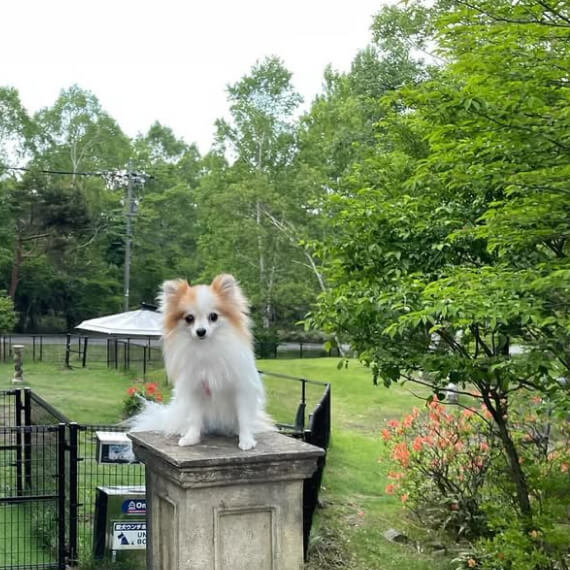 王＆姫たちの大ファミリーの画像