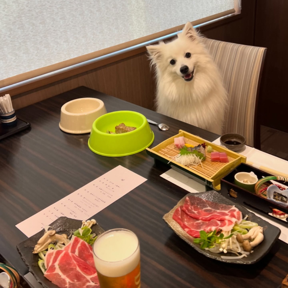 ほたるちゃんの画像