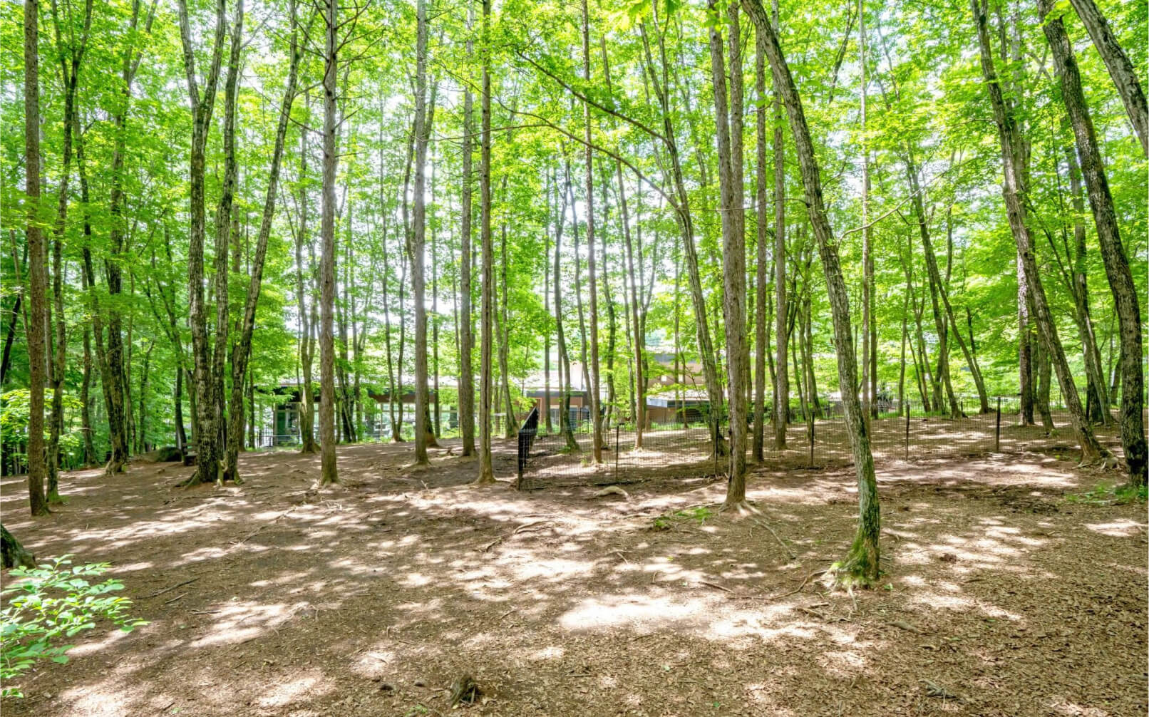 八ヶ岳わんわんパラダイスコテージ