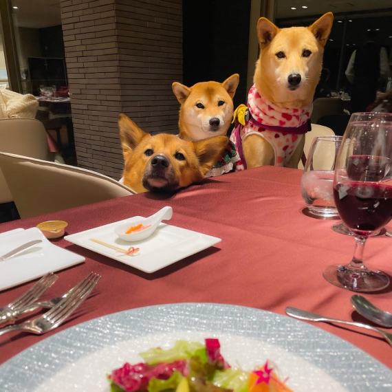 nanoちゃんの画像