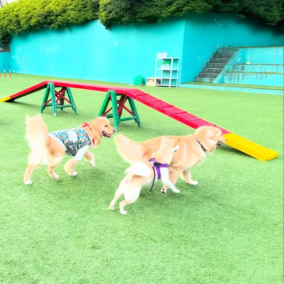 モグちゃんの画像