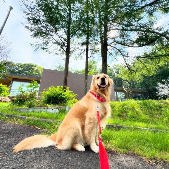 モグちゃんの画像