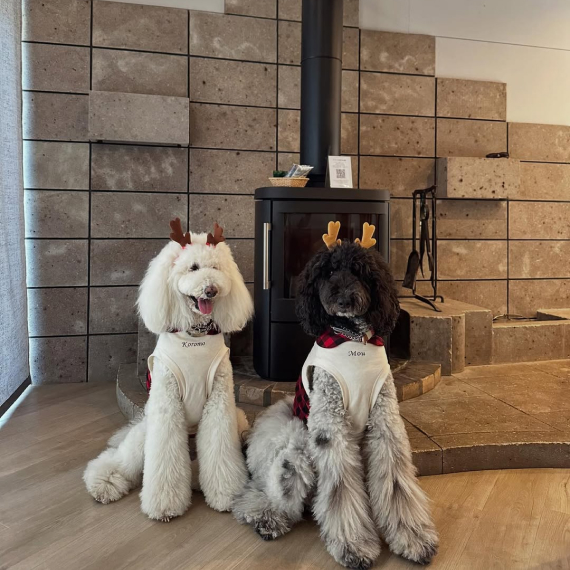 衣ちゃん＆MOUちゃん の画像