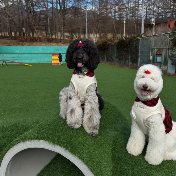 衣ちゃん＆MOUちゃん の画像