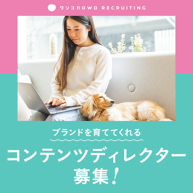 ブランドを育ててくれる コンテンツディレクター募集！
